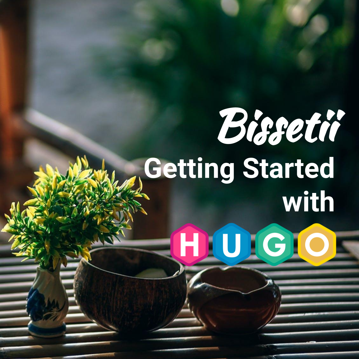 Bissetii Hugo Theme Module
